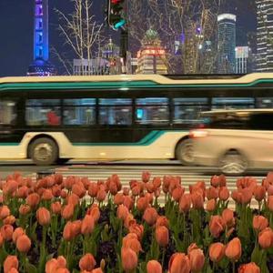 FucK丰满老货HD泻火
